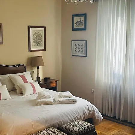 公寓 Amplio Y Centrico Piso Senorial